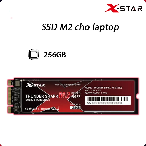 Ổ cứng SSD M2 2280 Xstar 256Gb